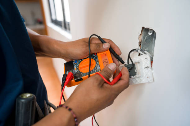 Best Electrical System Inspection  in Susitna North, AK